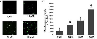 Acaricidal Mechanism of Scopoletin Against Tetranychus cinnabarinus